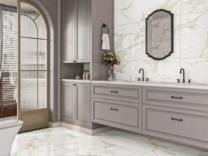 GENESIS STATURIO POLISHED 60X60