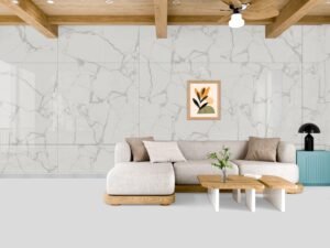 Kaolin Satvario 60x120 Grey Polished
