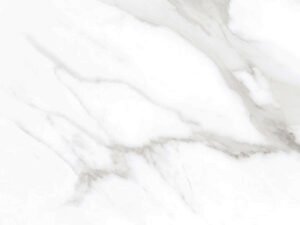 Taj Mercury 60x120 White Polished